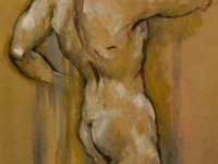 n15_40x80